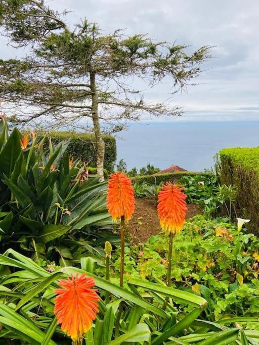 Azor International Apartment II Ponta Delgada Dış mekan fotoğraf