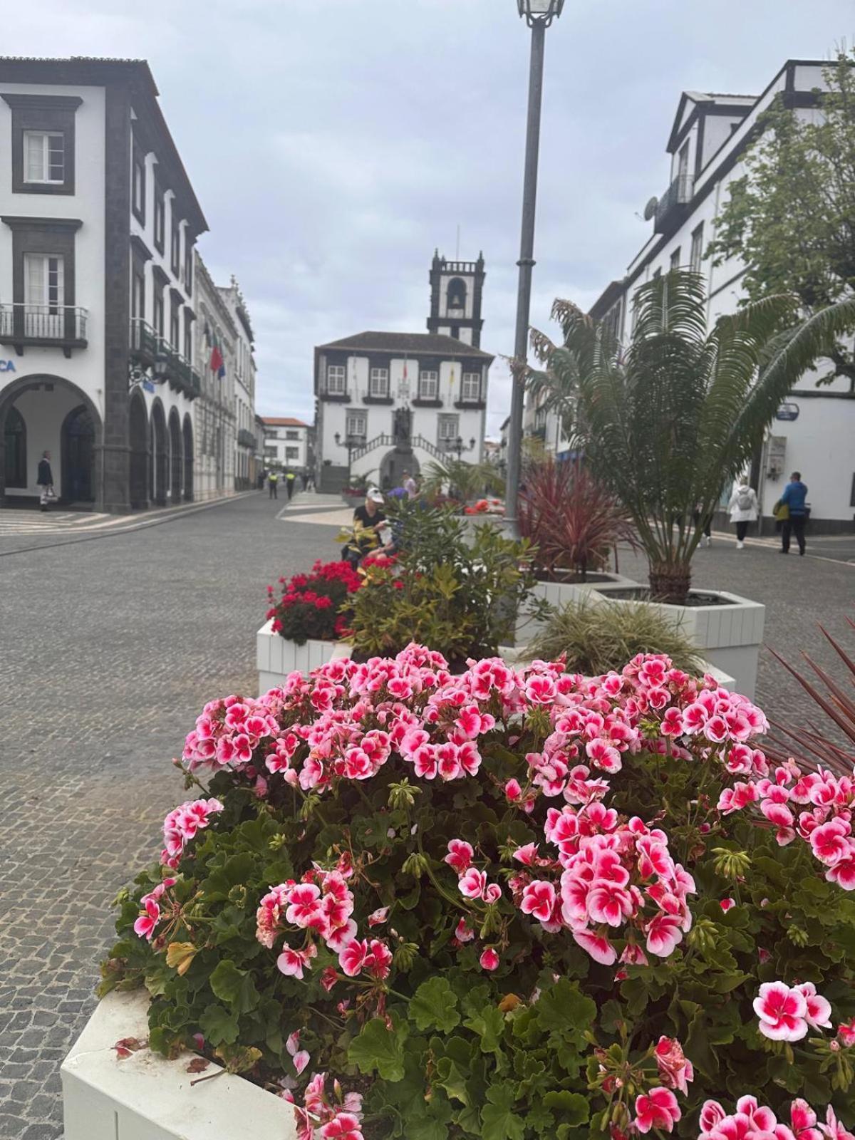 Azor International Apartment II Ponta Delgada Dış mekan fotoğraf